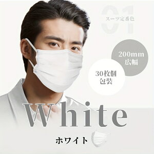マスク 大サイズ 不織布 メンズ用 大きめ マスク ゴムバンド付き 耳痛なし 30枚入り個包装