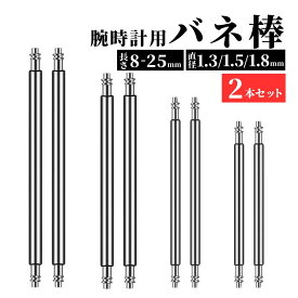 【2/4-10当店全品ポイント5倍！】バネ棒 2本 セット 16mm 17mm 18mm 19mm 20mm 21mm 22mm 全18サイズ 腕時計パーツ 交換 パーツ 工具 ばね棒 外れ防止 ステンレス 送料無料
