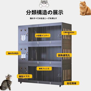 yؐLX^[tzLbgP[W LpP[W Eh~ ˂Q[W 傫ߎp qLpɂœKXebv   gݗĊȒP ˂ړ֗ Vv LP[W Lb