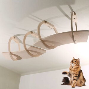 LpEH[Ƌ Ǌ| ؐ LbgXebv L  I U ͂ ubW LbgEH[N XJCRh[ XNb`|Xg DIY Rgݗ LWv i