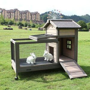 AEghAp^ETMP[W ؐ{ ؈oETM ETMpP[W  傫ȃXy[X tFbg P[W  P[W J悯EĂh~Eϋvybgp؏