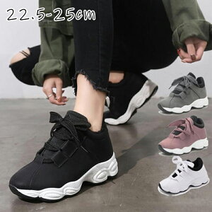 Xj[J[ fB[X  Xj[J[ _bhXj[J[ nCeNXj[J[ gAbvXj[J[ ^C X|[cV[Y JWA n ʊw ʋ rXj[J[ rXj[