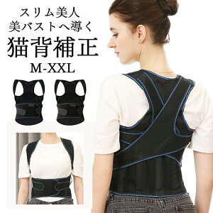 Lwxg pxg w؋xg j Ci[  Y  傫TCY q Lw ڗȂ  pT|[^[ pP pxg w؃T|[^[