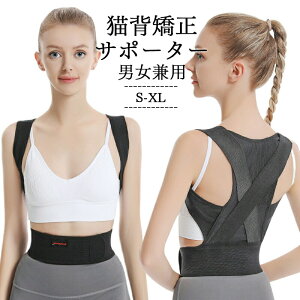 Lwxg pxg w؋xg j Ci[  Y  傫TCY q Lw ڗȂ  pT|[^[ pP pxg w؃T|[^[