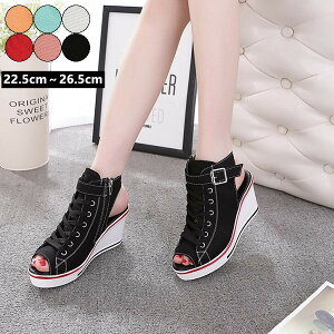  T_ T_ RtH[gT_ Xj[J[T_ X|[cT_  ɂȂ ₷  ɂȂ JWA Xj[J[ fB[X ďt V[Y 