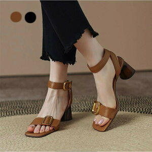 T_ C V[Y r[`T_ r ~ Vv fB[X ₷  킢 wl fB[X  Ȃ ɂȂ 傫TCY TCY y y