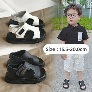 T_ j̎q q LbY ~ lC  ₷ w T_ y y ʋC 킢 qC w ct ǂ  lC 