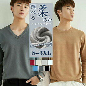 メンズ ニットセーター Vネックニット ニット セーター Vネック 無地長袖 多色展開 ビジネス セーター 黒 白 灰色 秋 秋物 秋服 冬 冬物 冬服