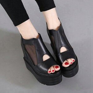 u[cT_ T_ fB[X T_13cmq[ T}[u[c L b EGbWq[ 傫TCY NX Ă킢 u[cT_ CY