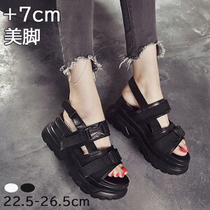 []X|[cT_ fB[X Xj[J[T_ T_ ₷ ɂȂ _炩NbV h y JWA ^C  ăr[T xg Xgbv 