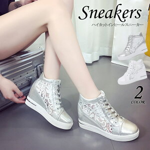 Xj[J[ Cq[Xj[J[ C V[Y fB[X [X nCJbg  Xj[J[ fB[X  킢 C  ؍ Xj[J[ bV Cq[ [XAb