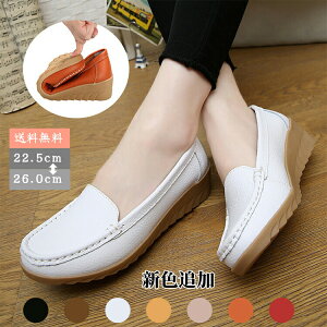 JV [t@[ Xb| pvX ubN  傫TCY 3L 25cm ₷ ₷ [q[ EhgD L ɂȂ C rbg ؂ fB[XC V C 