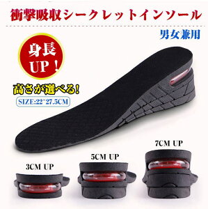 y2oZbgzV[NbgC\[~ Ռz 3cmUP 5cmUP 7cmUPgAbv gUP V[NbgNbV ~ V[NbgV[YY fB[X  Yjp 