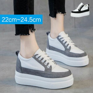 Xj[J[ Cq[ Xj[J[  EFbW\[ EFbW 22cm 22.5cm 23cm 23.5cm 24cm 24.5cm 25cm 25.5cm 26cm 26.5cm   zCg