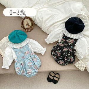 q xr[  ZbgAbvtVc Vc p[X xr[ ̎q LbY oYj V Ԃ  Rbg _炩 t H ~ Ԃ  xr[pi v[