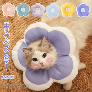 GUxXJ[ \tg  L  ybgp pi ybgp񕜋 hf _炩 p  p r r ی h~ Lp y