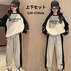 ZbgAbv q 2_Zbg ㉺Zbg X|[cEFA vI[o[  ̎q q g[i[ LbY IV K[Y  XEFbg Y{ tH W[ g gb