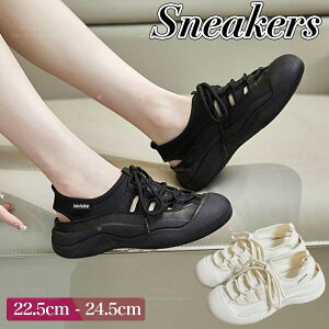  Xj[J[ fB[X ؍  V[Y ʋC ʋ ʊw l 킢 t [Jbg ₷ l lq