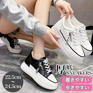  Xj[J[ ؍ fB[X V[Y l 킢  X|[c ^C [Jbg JWA ʋ ʊw ₷ ₷ l lq