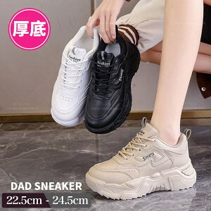  _bhXj[J[ fB[X ؍ V[Y  l 킢 ꂢ ʋ ʊw X|[c ^C ₷ ₷ l lq