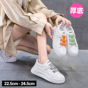  [Jbg Xj[J[ fB[X l 킢 ꂢ JWA  }WbNe[v l lq