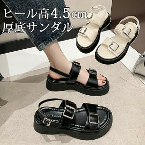 T_ fB[X    X|[c  T_ Ȃ ɂȂ y ₷ X|[cT_ _bhV[Y X|T 22.5-25cm bNXQ fB[X  