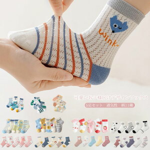 C LbY xr[ q j̎q ̎q Ԃ \bNX  5Zbg Xj[J[ ȑf bV Snǂ t  z ʋC Lk ыʖh~ n Vv u܃t