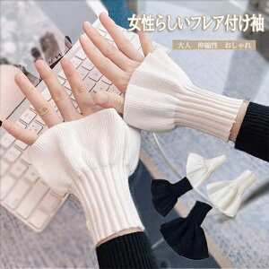 t  A[Jo[ fB[X C[h jbg u҂  tA i 킢 tF~j g LC Gǂ y d˒ n  EȒP l  