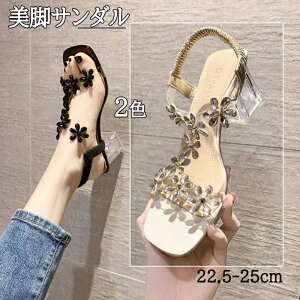 T_ fB[X nCq[ u[cT_ y ₷ fB[XC ăT_ q[ V[Y [q[ L ɂȂ ɂ  q[ 傫TCY u[cT