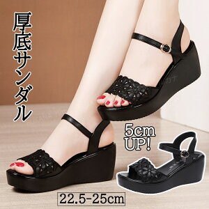 EGbWT_ fB[X EFbW\[ T_  EGbW\[ T_ fB[X Ƃ q[T_ ANXgbv q[5cm ₷ Sn悢 