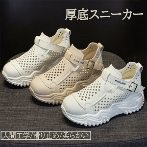 ꓧXj[J[ fB[X 5cmgAbv Xj[J[ Xb| ₷ _bhXj[J[ JWAV[Y _炩 r KȌC y ~ bV