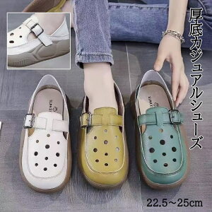 JWAV[Y Od Xb| fB[X V[Y T_ 2way Ƃ߂ JWA fB[X 5cm Vv  ₷ _炩 yʐ݌v 