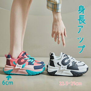 Xj[J[ fB[X _CGbgXj[J[ _bhXj[J[ EH[LOV[Y _bhV[Y X|[c 6cmUP gAbv  r JWAV[Y r ʋC 