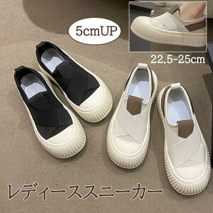 Xj[J[ fB[X ₷ 5cm C ʋC Xj[J[ NXxg SXgbv fB[X Xb| EȒP X|[cV[Y {[ bV LoX ʋC