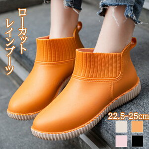 yJpzCu[c fB[X V[g  CV[Y V[gCu[c Jp b L J  l ʋ C y h  C JC _ | ~J JWA