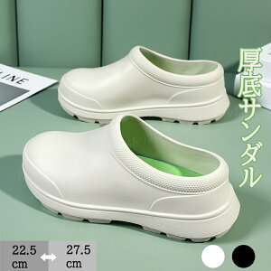 Jo[T_  T_  NT_ Y fB[X RbNV[Y  ~[  T{ [V[Y O  A[`T|[g Ռz  ~ h