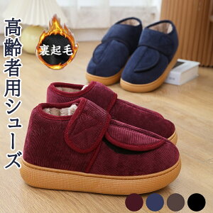 V[Y fB[X Y  {A V[Y [V[Y fB[X Y [gV[Y V[Y O ȓ hC c c ~C u[c  C