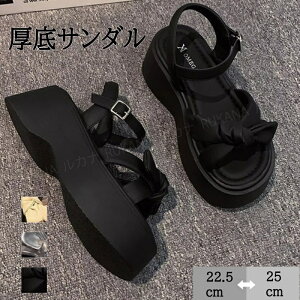 fB[X T_  { l킢 r[`T_ ₷ r JWAT_ C ʋC Ȃ AEghA ItBX EH[LO  傫TCY T