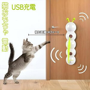 L d y2025NAbvO[hVozL炵 lV 킢 ~`̃L^s[^dLp 2̑傫ȋzՕt USB[d ^sObY XgX 