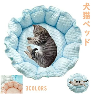 �� �L �x�b�h �y�b�g�x�b�h �y�b�g�N�b�V���� �Ђ��� �}�b�g �ڐG�⊴ �ې� �ʋC���D�� �����̂� �ی^ ���� �I�[���V�[�Y�� �����΍� �ӂ�ӂ� �g���� ���p/�L�p�x�b�h �s���N M�T�C�Y