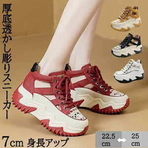 ꓧXj[J[ fB[X 7cmgAbv X|[cT_ y r 󒤍fUC L Sn ₷ Xb| _bhXj[J[ t ʋ ʊw ig 22.5~25cm