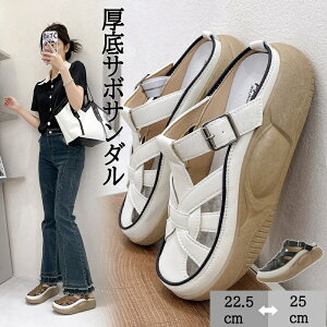 T{T_ fB[X - 5cmJWAV[Y _炩 ₷ r r ~ߌy L݌v ʋC KȗSn ϖ JWA Or[`T