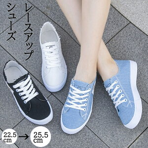 VvXj[J[ RȂ ӂӂC\[  Xj[J[ EH[LOV[Y JWAV[Y fB[X h [Jbg ؂񂱌C ɂȂ ₷ ʋ ʊw JW