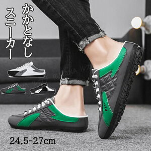 Xj[J[ Y C ᔽC\[ Ȃ LeBO  lC  JWAV[Y [Jbg ʋ ʊw i x d 傫TCY WFCLbNX Vv