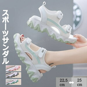  X|[cT_ fB[X  T_ Xj[J[T_ JWA ₷ X|[cT_ X|T   C T_ V[Y Vv JWA 