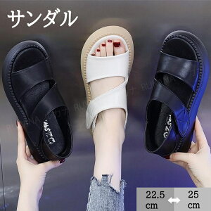 fB[X ɂ ItBXT_ NXC T_  T_ jp EȂ ₷ V[Y ~ Vv ɂȂ gOT_ Sn ʋC X