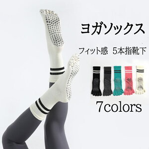 seBX C K\bNX seBX\bNX K C 5{w\bNX fB[X ~ߌC O ۉ z ʋC  ΍ _X X|[c jp 2Zbg 5{wC