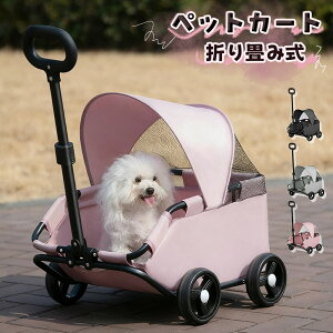 ybgJ[g ^ ^   J[g ybg 3FJ[ U @\ ֗ ybg ܂肽 ybgL[J[g L[ y RpNg ybgL[ J[g^ p