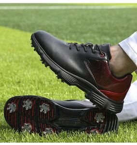 StV[Y Y  傫TCY 4E L XpCNe \tgXpCN y ₷ ʋC ϋv ϊ K rWlX Mtg ̓ ސEj ϋv K   