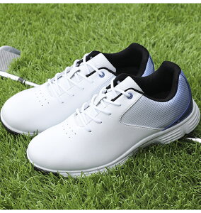 StV[Y Y  傫TCY 4E L XpCNe \tgXpCN y ₷ ʋC ϋv ϊ K rWlX Mtg ̓ ސEj ϋv K   